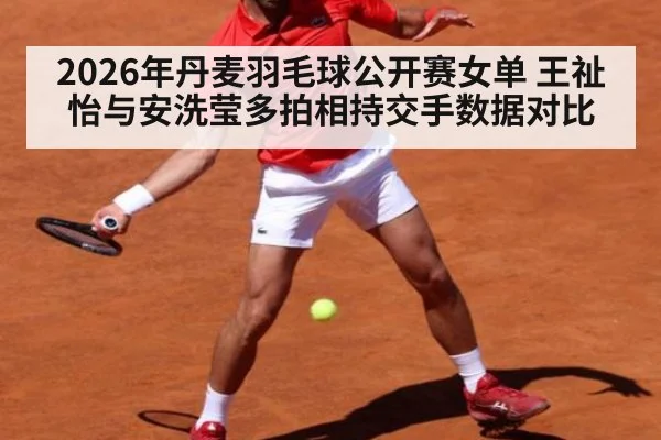 2026年丹麦羽毛球公开赛女单 王祉怡与安洗莹多拍相持交手数据对比（kaiyun）