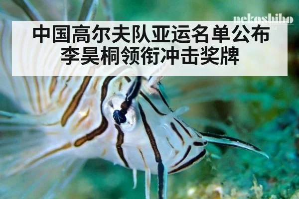 中国高尔夫队亚运名单公布 李昊桐领衔冲击奖牌