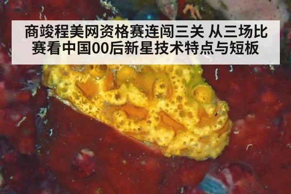 商竣程美网资格赛连闯三关 从三场比赛看中国00后新星技术特点与短板