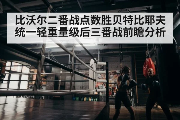 boxer training gym